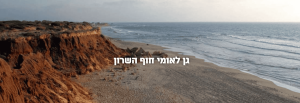 צילום-מסך-2025-08-10-231641