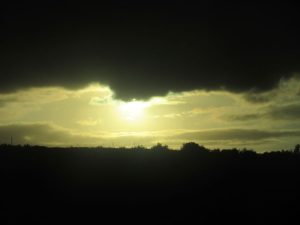 IMG_1860-נחמי_800x600