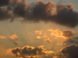 IMG_1911-נחמי_800x600