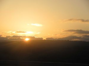 img_5751-יונתן-נחמי-שטייף_optimized
