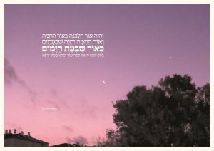אור-הלבנה-כאור-החמה-איכותי-איידי-וייס_optimized_800x565