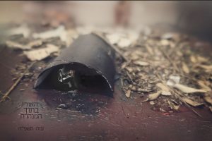 לכידה-מירי